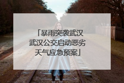 暴雨突袭武汉 武汉公交启动恶劣天气应急预案