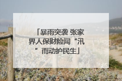 暴雨突袭 张家界人保财险闻“汛”而动护民生