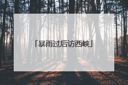 暴雨过后访西峡