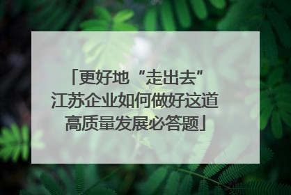 更好地“走出去” 江苏企业如何做好这道高质量发展必答题