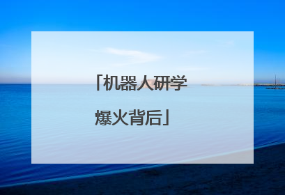 机器人研学爆火背后