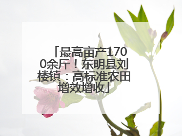 最高亩产1700余斤！东明县刘楼镇：高标准农田增效增收