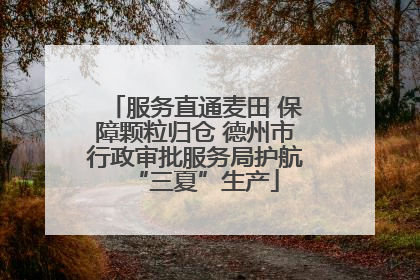 服务直通麦田 保障颗粒归仓 德州市行政审批服务局护航“三夏”生产