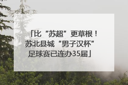 比“苏超”更草根！苏北县城“男子汉杯”足球赛已连办35届
