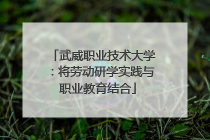 武威职业技术大学：将劳动研学实践与职业教育结合