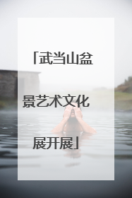 武当山盆景艺术文化展开展