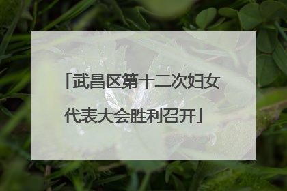 武昌区第十二次妇女代表大会胜利召开