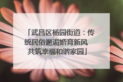 武昌区杨园街道：传统民俗邂逅婚育新风 共筑幸福和谐家园