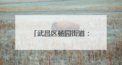 武昌区杨园街道：桃园飘香采摘忙 消费扶贫促振兴