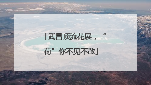 武昌顶流花展，“荷”你不见不散