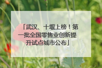 武汉、十堰上榜！第一批全国零售业创新提升试点城市公布