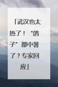武汉也太热了！“鸽子”都中暑了？专家回应
