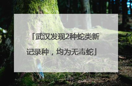 武汉发现2种蛇类新记录种，均为无毒蛇