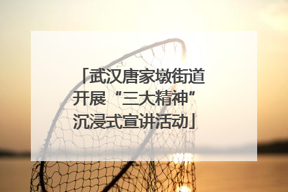 武汉唐家墩街道开展“三大精神”沉浸式宣讲活动