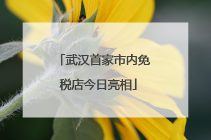 武汉首家市内免税店今日亮相