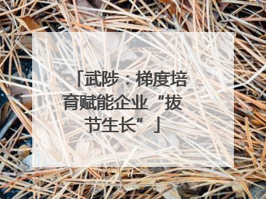 武陟：梯度培育赋能企业“拔节生长”