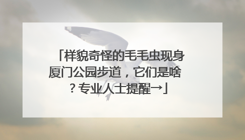 样貌奇怪的毛毛虫现身厦门公园步道，它们是啥？专业人士提醒→