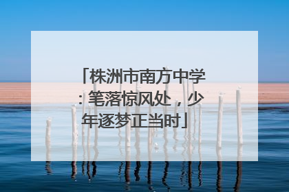 株洲市南方中学：笔落惊风处，少年逐梦正当时