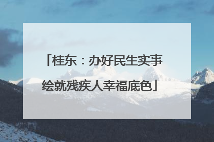 桂东：办好民生实事 绘就残疾人幸福底色