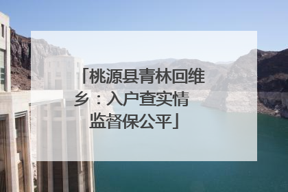 桃源县青林回维乡：入户查实情 监督保公平