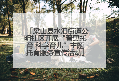 梁山县水泊街道公明社区开展“普惠托育 科学育儿”主题托育服务宣传活动