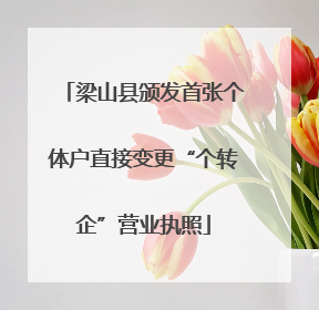 梁山县颁发首张个体户直接变更“个转企”营业执照