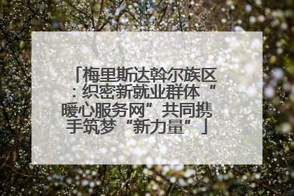 梅里斯达斡尔族区：织密新就业群体“暖心服务网”共同携手筑梦“新力量”