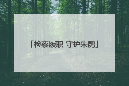 检察履职 守护朱鹮