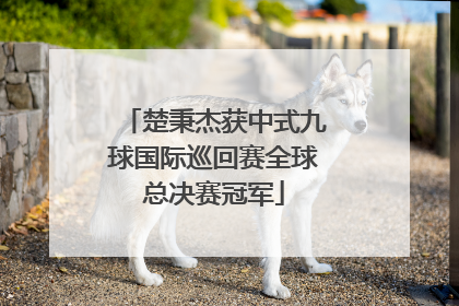 楚秉杰获中式九球国际巡回赛全球总决赛冠军