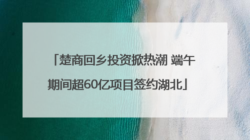 楚商回乡投资掀热潮 端午期间超60亿项目签约湖北