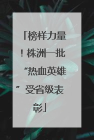 榜样力量！株洲一批“热血英雄”受省级表彰