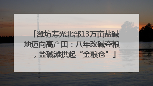 潍坊寿光北部13万亩盐碱地迈向高产田：八年改碱夺粮，盐碱滩拱起“金粮仓”