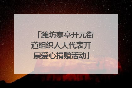潍坊寒亭开元街道组织人大代表开展爱心捐赠活动