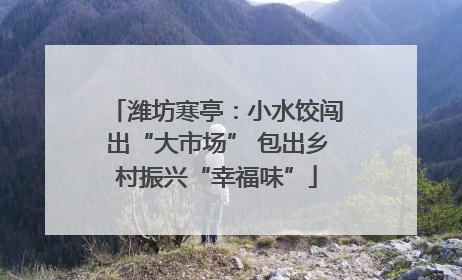 潍坊寒亭：小水饺闯出“大市场” 包出乡村振兴“幸福味”