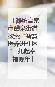 潍坊高密市醴泉街道探索“智慧医养进社区” 托起幸福晚年