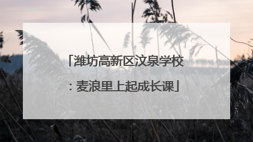潍坊高新区汶泉学校：麦浪里上起成长课