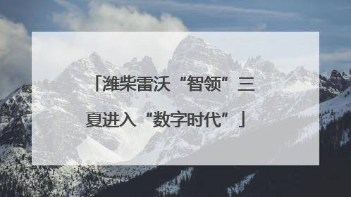 潍柴雷沃“智领”三夏进入“数字时代”