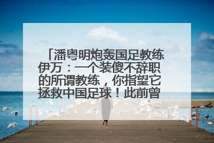 潘粤明炮轰国足教练伊万：一个装傻不辞职的所谓教练，你指望它拯救中国足球！此前曾多次发文评价国足