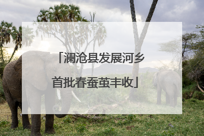 澜沧县发展河乡首批春蚕茧丰收