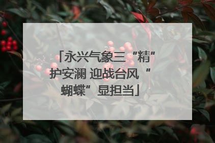 永兴气象三“精”护安澜 迎战台风“蝴蝶”显担当