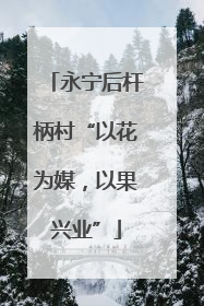 永宁后杆柄村“以花为媒，以果兴业”