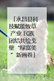 永昌县科技赋能牧草产业 民族团结共绘戈壁“绿富美”新画卷