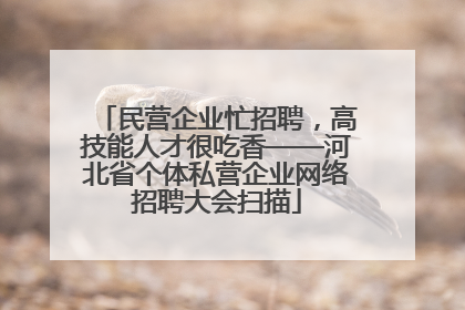 民营企业忙招聘，高技能人才很吃香——河北省个体私营企业网络招聘大会扫描