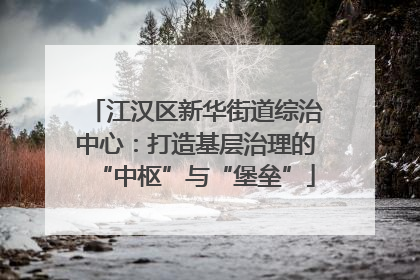 江汉区新华街道综治中心：打造基层治理的“中枢”与“堡垒”