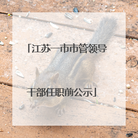 江苏一市市管领导干部任职前公示