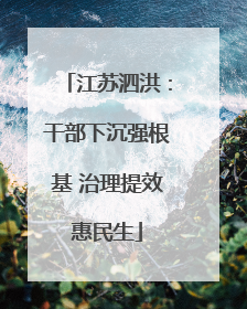江苏泗洪：干部下沉强根基 治理提效惠民生