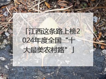 江西这条路上榜2024年度全国“十大最美农村路”
