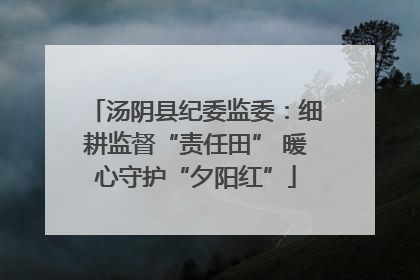 汤阴县纪委监委：细耕监督“责任田” 暖心守护“夕阳红”