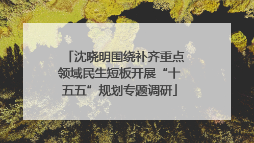 沈晓明围绕补齐重点领域民生短板开展“十五五”规划专题调研