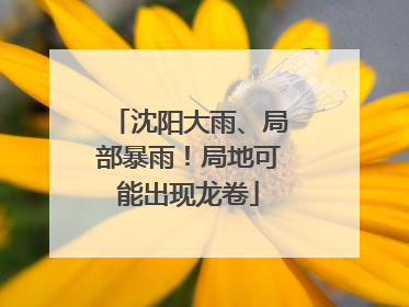 沈阳大雨、局部暴雨！局地可能出现龙卷